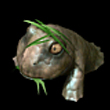蛤蟆.jpg