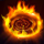 a抗拒火环.png
